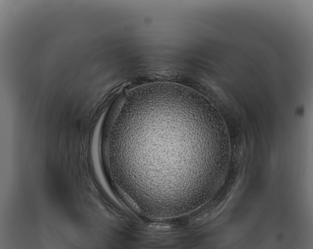X0000089950749200707061120