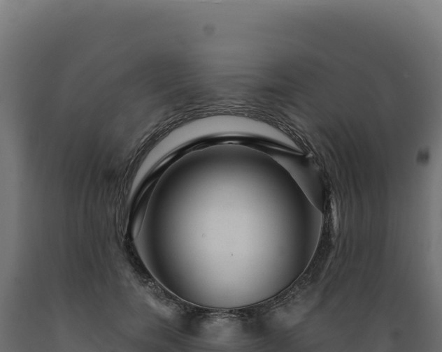 X0000089950750200707061120