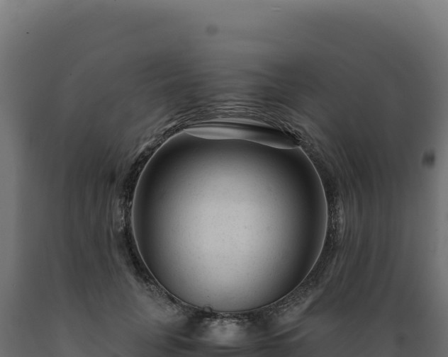 X0000089950751200707061120