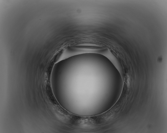 X0000089950752200707061120