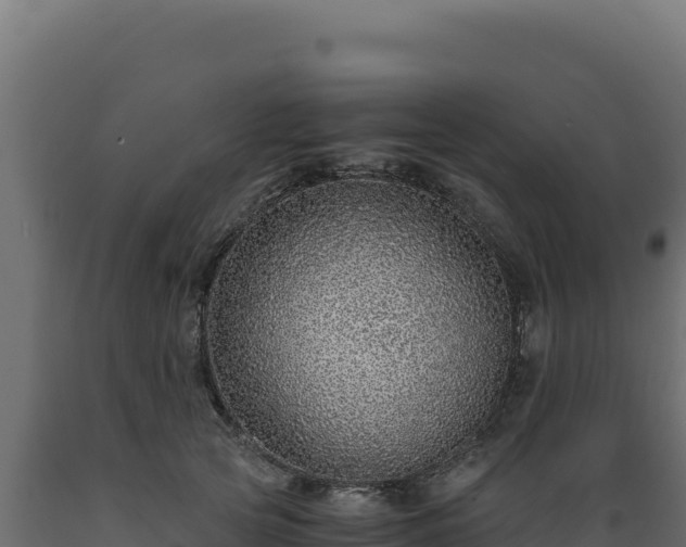 X0000089950753200707061120
