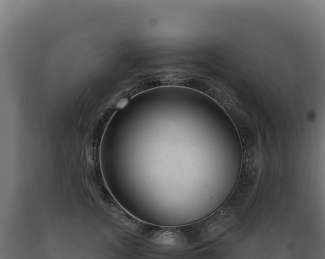 X0000089950755200707061120