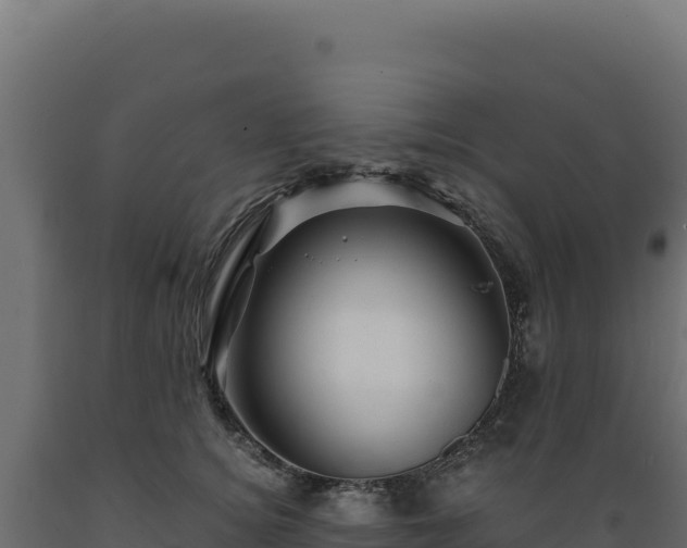 X0000089950756200707061120
