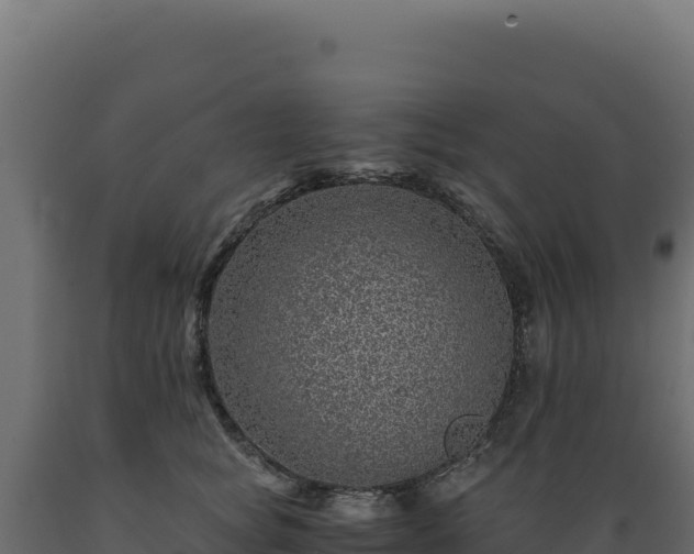 X0000089950757200707061120