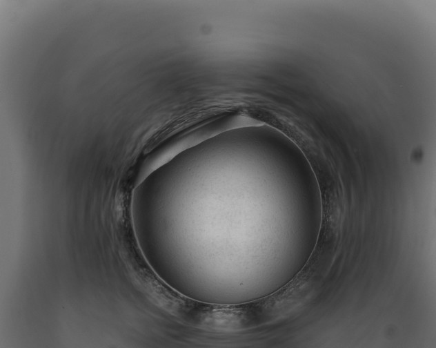 X0000089950758200707061120