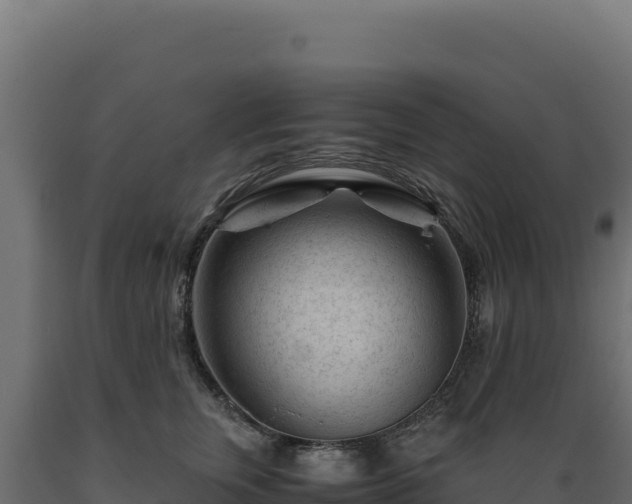 X0000089950759200707061120
