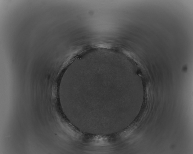 X0000089950760200707061120