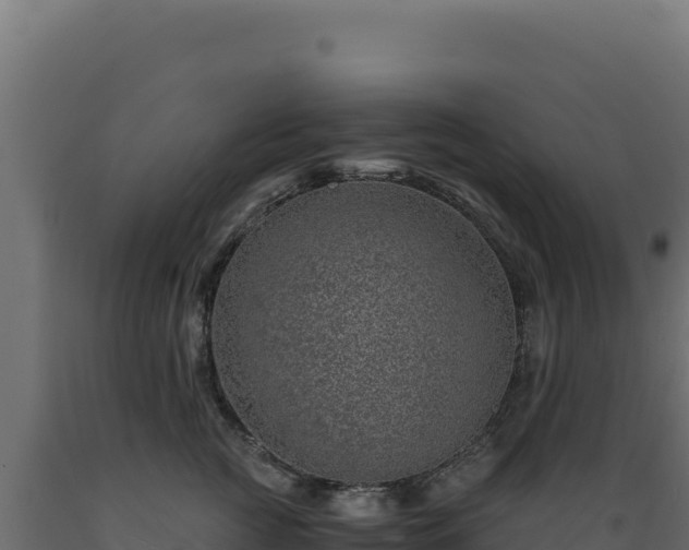 X0000089950761200707061120