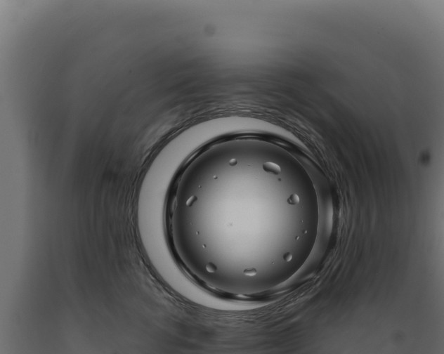 X0000089950762200707061120