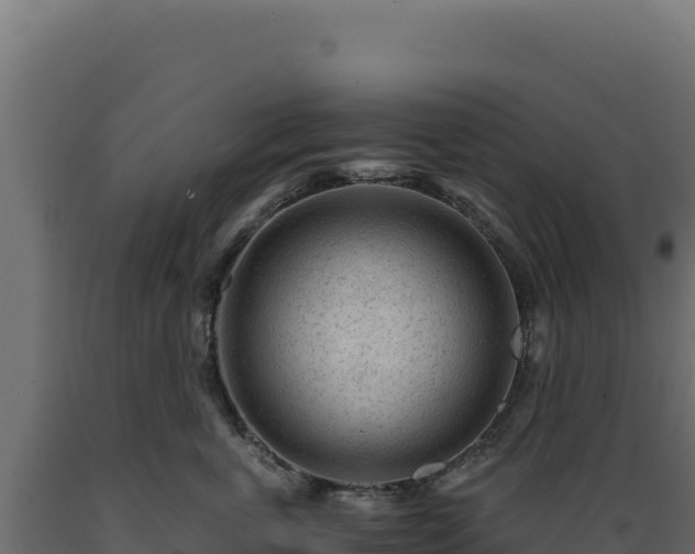 X0000089950763200707061120
