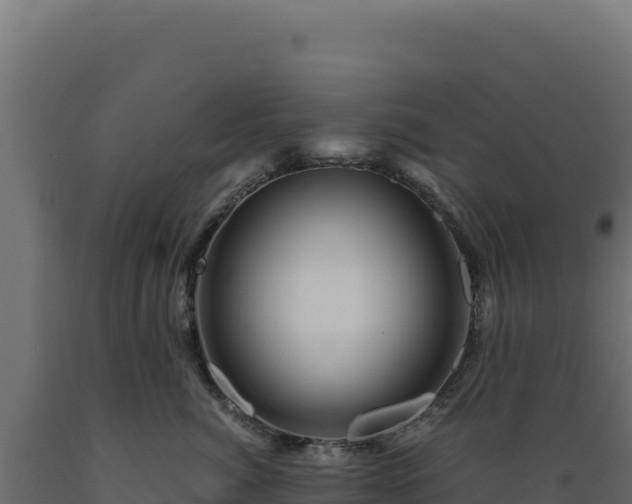 X0000089950764200707061120