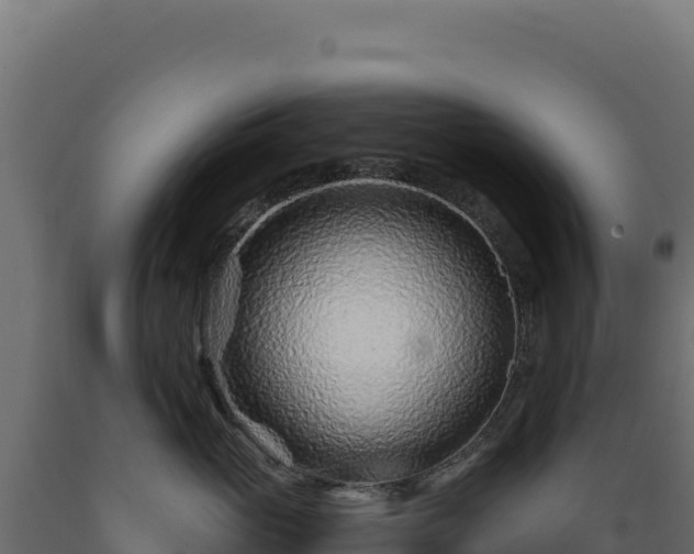 X0000089950765200707061120