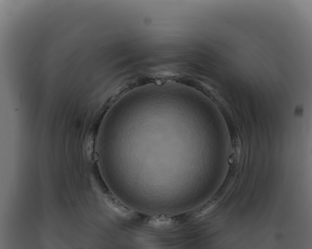 X0000089950767200707061120