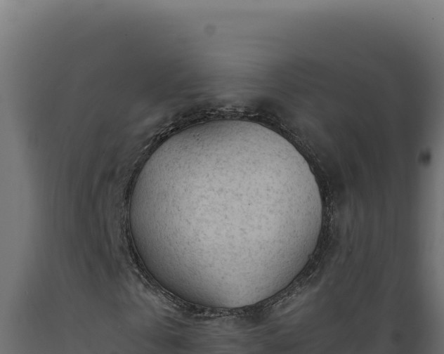X0000089950769200707061120
