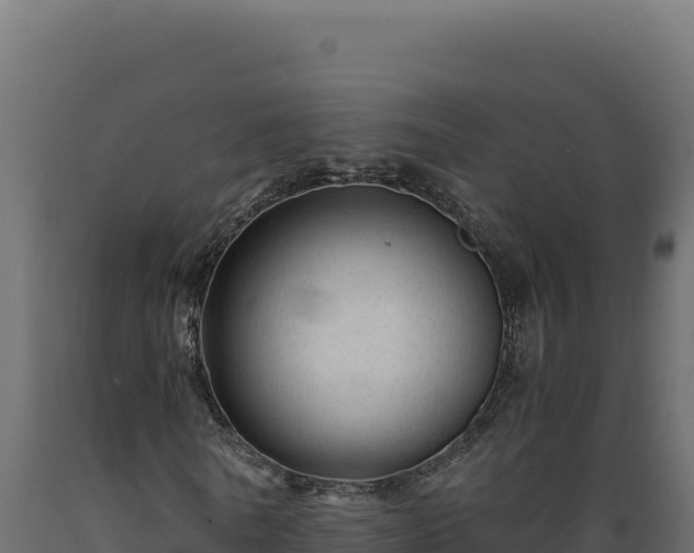 X0000089950770200707061120