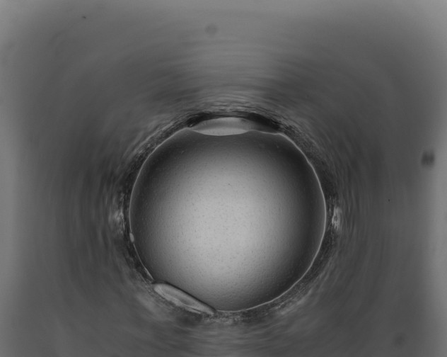 X0000089950771200707061120