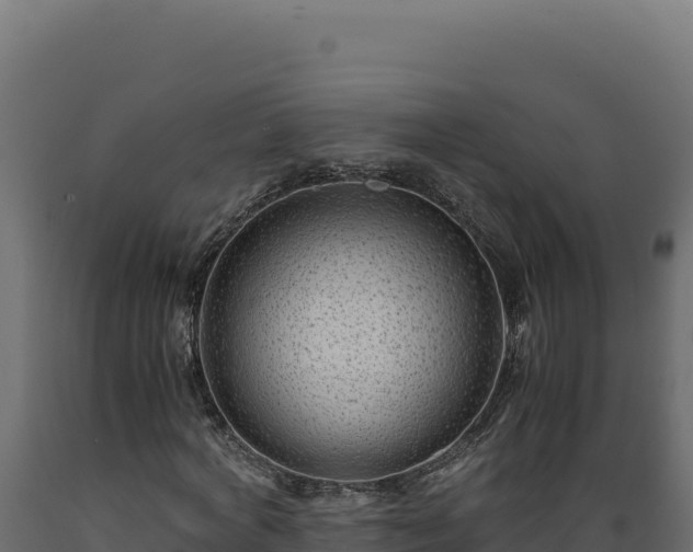 X0000089950772200707061120
