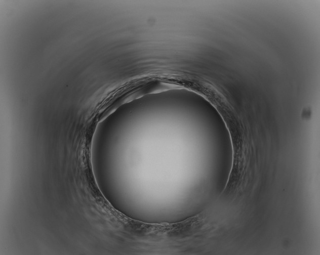 X0000089950773200707061120