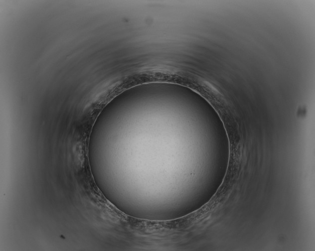X0000089950774200707061120