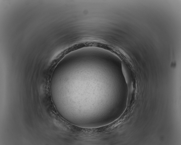 X0000089950775200707061120