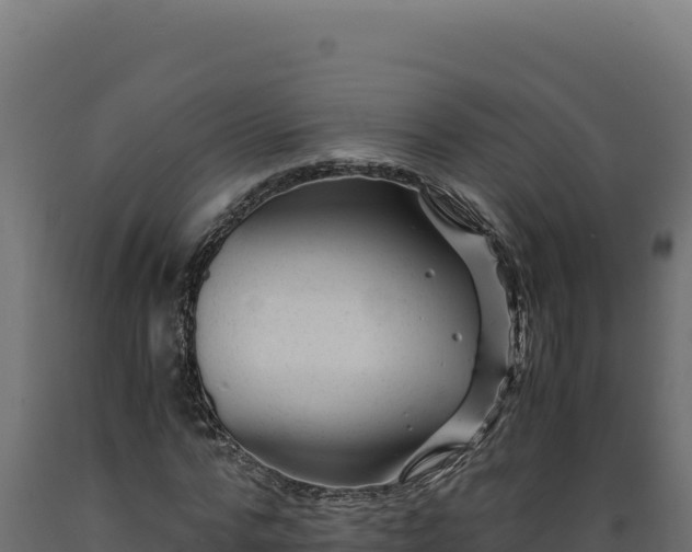 X0000089950776200707061120