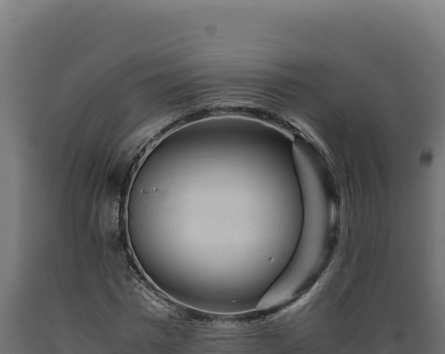 X0000089950777200707061120