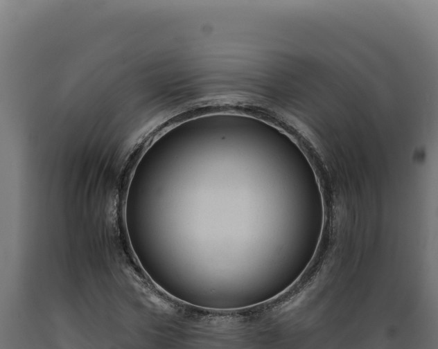 X0000089950778200707061120