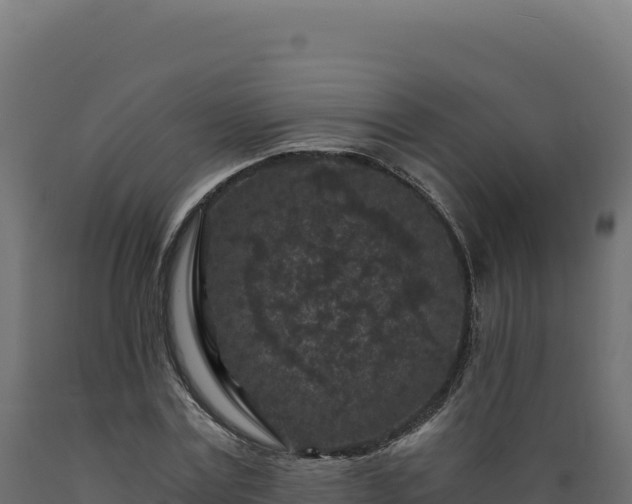 X0000089950779200707061120