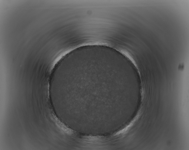 X0000089950781200707061120