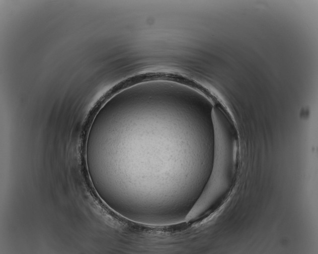 X0000089950783200707061120