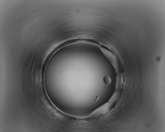 X0000089950784200707061120