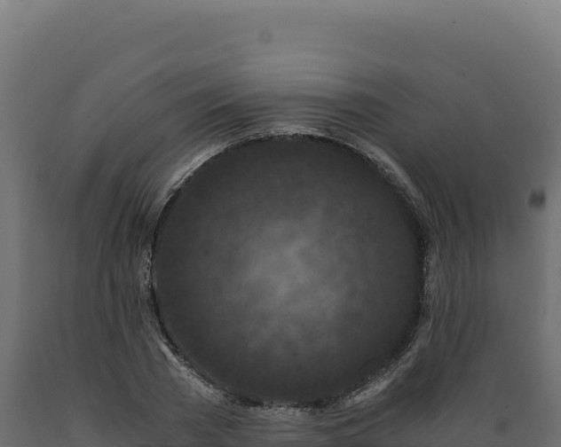 X0000089950785200707061119