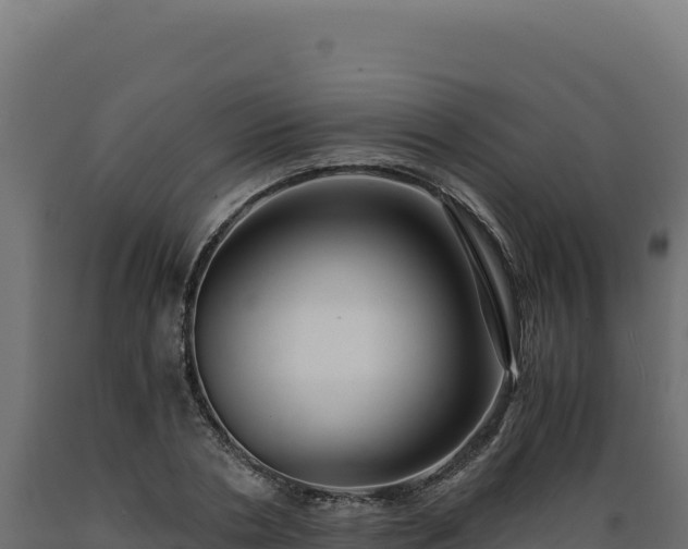 X0000089950786200707061119