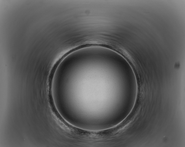 X0000089950787200707061119