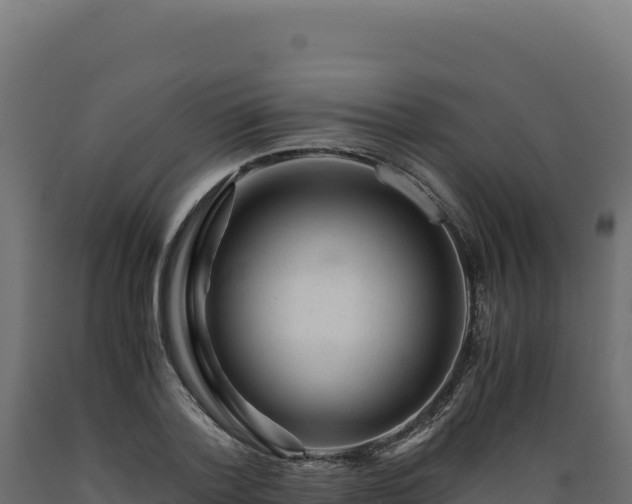 X0000089950788200707061119