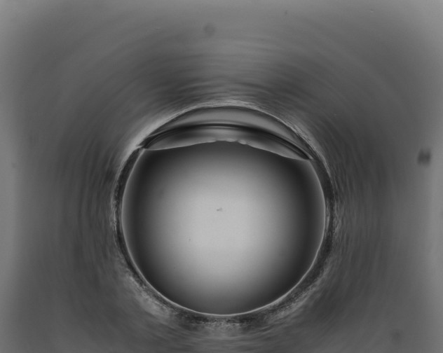 X0000089950789200707061119