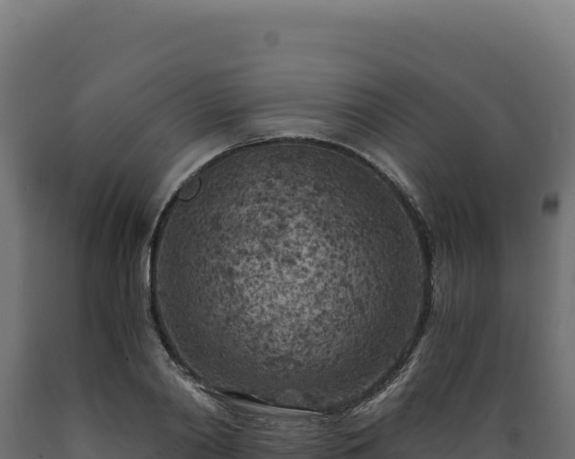 X0000089950790200707061119