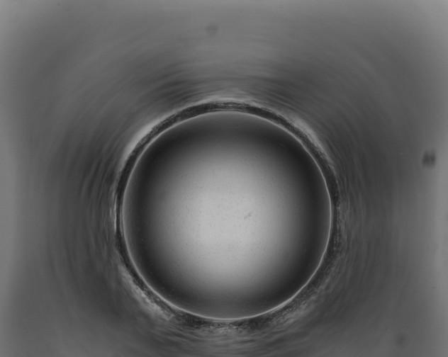 X0000089950791200707061119