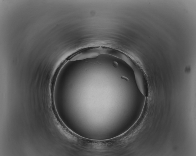 X0000089950792200707061119