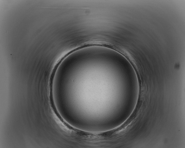 X0000089950795200707061119