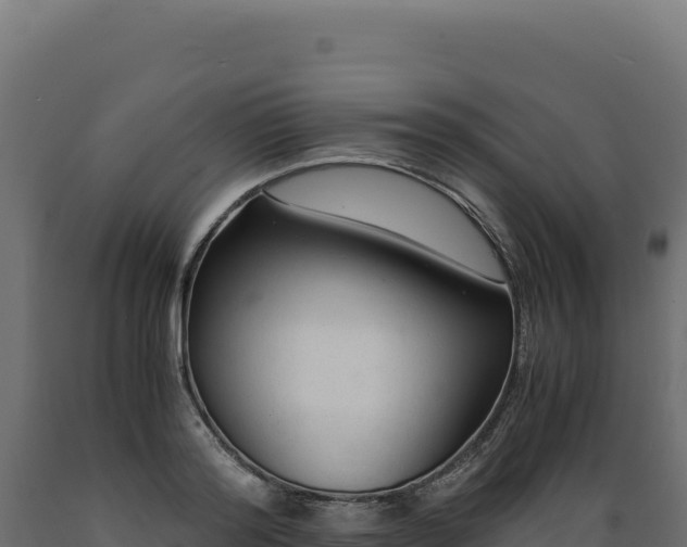 X0000089950796200707061119