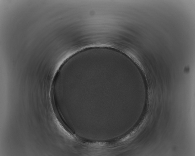 X0000089950797200707061119