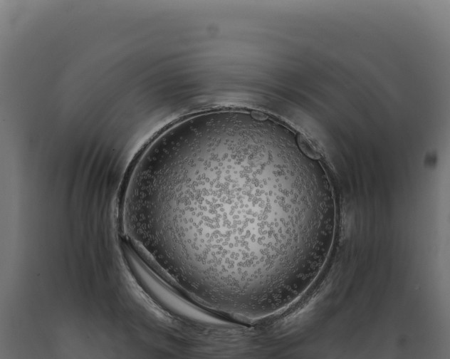 X0000089950798200707061119