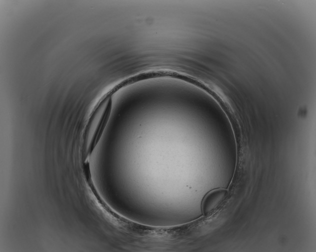 X0000089950799200707061119