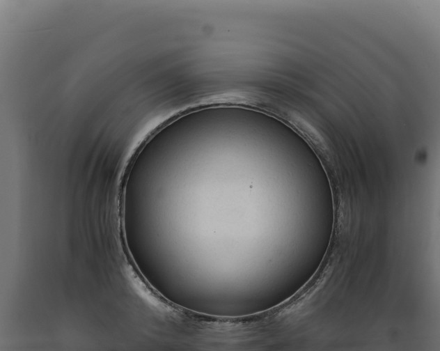 X0000089950800200707061119