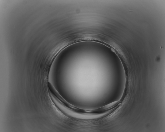 X0000089950801200707061119