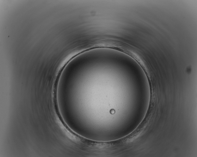 X0000089950803200707061119