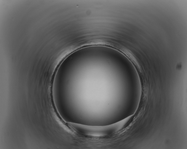 X0000089950805200707061119