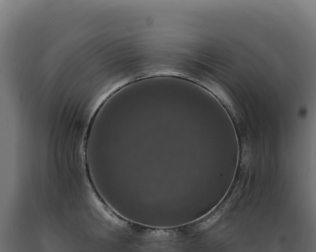 X0000089950806200707061119