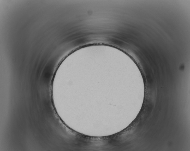 X0000089950807200707061119